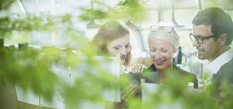 FührungPlus_Umweltvorhaben_iStock-555799387_10.02